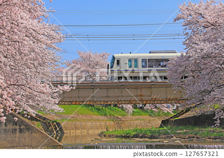 A train crossing the Saho River with cherry blossoms in full bloom A train crossing the Saho River with cherry blossoms in full bloom 127657321