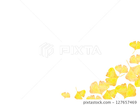 Ginkgo, ginkgo, autumn, watercolor, illustration Ginkgo, ginkgo, autumn, watercolor, illustration 127657469