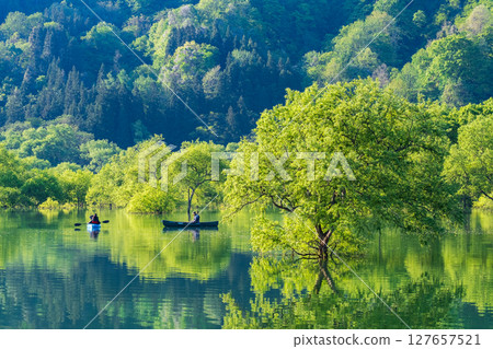 白川湖被淹沒的森林 127657521