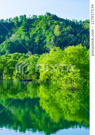 白川湖被淹沒的森林 白川湖被淹沒的森林 127657534