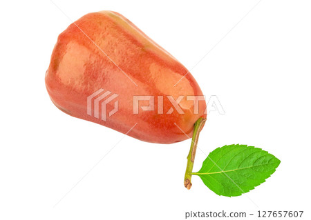 rose apple slice piece on white fruit rose apple slice piece on white fruit 127657607