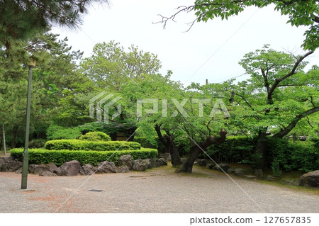 白山公園風景 127657835