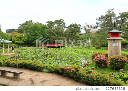 白山公園風景 127657836