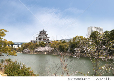 廣島城櫻 廣島城櫻 127658110
