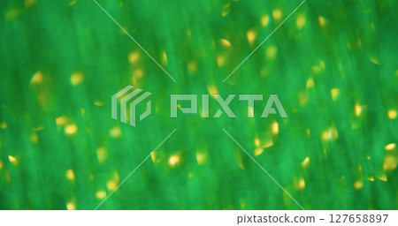 Blur shine. Defocused glitter. Sparkle green golden yellow color lens flare on bokeh light abstract green background. Blur shine. Defocused glitter. Sparkle green golden yellow color lens flare on bokeh light abstract green background. 127658897