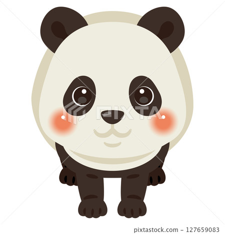 從正面看熊貓的插圖 從正面看熊貓的插圖 127659083
