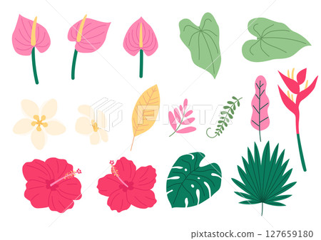 Vector illustration of tropical plants. 127659180