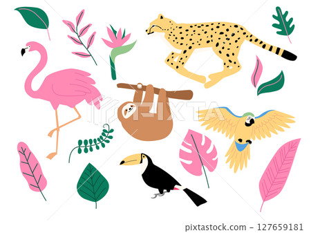 Vector illustration of tropical plants and animals. 127659181