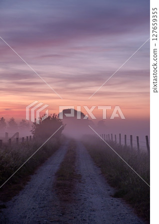 A Misty Dawn Pathway Leading Through a Serene and Beautiful Landscape Awaits Your Discovery 127659355