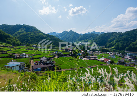 Rural scenery of Akiyama, rice terraces of Tomioka 127659410
