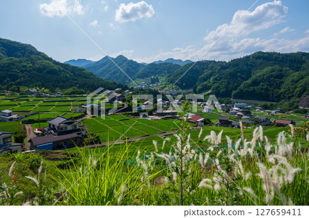 Rural scenery of Akiyama, rice terraces of Tomioka 127659411