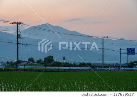 黃昏時分的大山田園風光 127659537