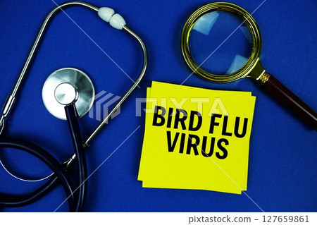 Bird Flu Virus text on speech bubble with magnifying glass and and stethoscope on blue background, Healthy concept Bird Flu Virus text on speech bubble with magnifying glass and and stethoscope on blue background, Healthy concept 127659861