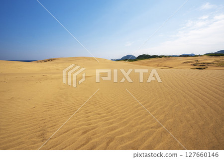 Beautiful scenery of Tottori sand dune 127660146