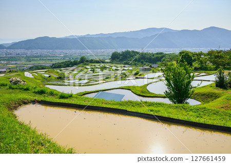 小畑梯田與善光寺平原【築曲市】 127661459