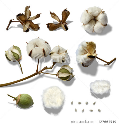 蓬鬆棉和有機棉鏤空部分帶有陰影 蓬鬆棉和有機棉鏤空部分帶有陰影 127661549