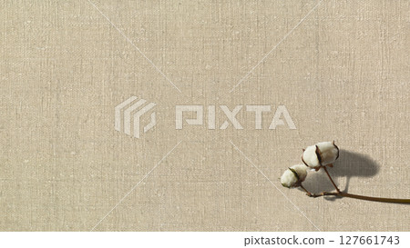 Fluffy cotton and organic "gara-bou" cotton fabric Fluffy cotton and organic "gara-bou" cotton fabric 127661743