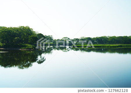 北海道初夏的御台土麻 127662128