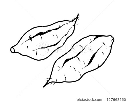 地瓜圖標 127662260