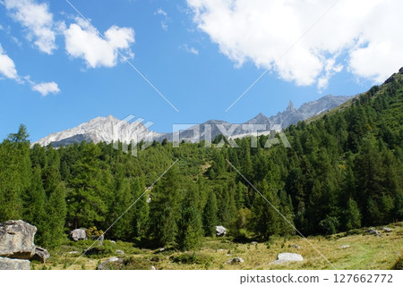 View from a trekking trail in Switzerland 127662772