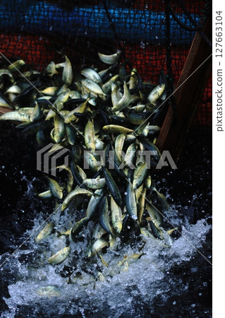 釋放 Mojako 127663104