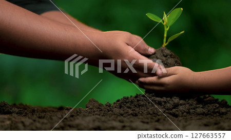 Planting trees, loving the environment and protecting nature Nourishing the plants World Environment Day To help the world look beautiful 127663557