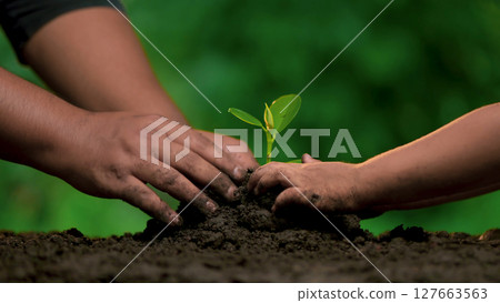 Planting trees, loving the environment and protecting nature Nourishing the plants World Environment Day To help the world look beautiful Planting trees, loving the environment and protecting nature Nourishing the plants World Environment Day To help the world look beautiful 127663563