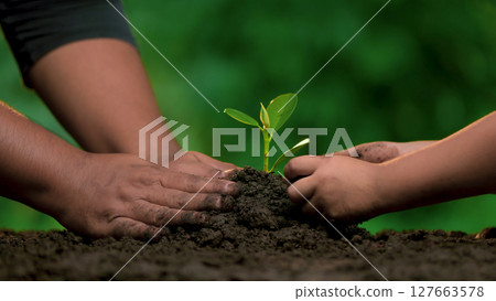 Planting trees, loving the environment and protecting nature Nourishing the plants World Environment Day To help the world look beautiful 127663578