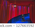 伏見稻荷 (京都) Fox 127663592