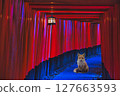 伏見稻荷 (京都) Fox 127663593