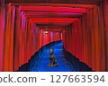 伏見稻荷 (京都) Fox 127663594