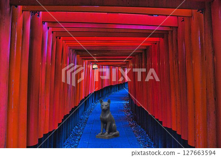 伏見稻荷 (京都) Fox 伏見稻荷 (京都) Fox 127663594