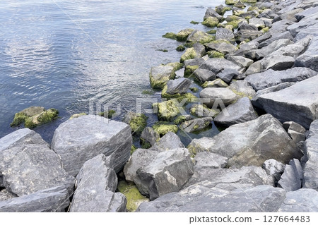 Rocky Coastline with Moss and Clear Sea Water. Tranquil rocky coastline covered with green sea weed, clear turquoise water and a tranquil coastal ambiance. Rocky Coastline with Moss and Clear Sea Water. Tranquil rocky coastline covered with green sea weed, clear turquoise water and a tranquil coastal ambiance. 127664483