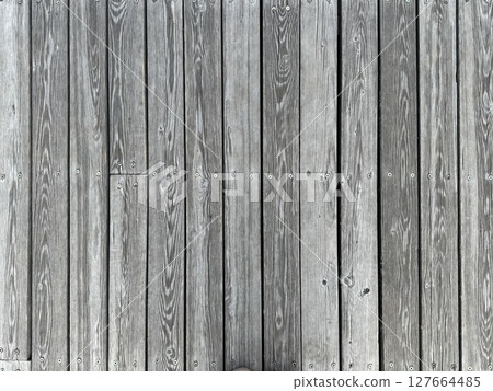 textured background of an old gray tree. High quality photo textured background of an old gray tree. High quality photo 127664485