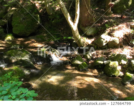 Clear stream Clear stream 127664799