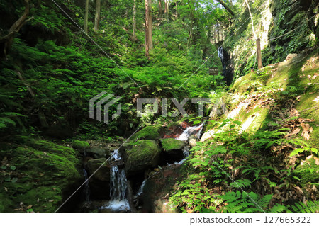 Kurosan Mitsutaki Tengu Waterfall 127665322