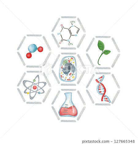 Blank for a postcard, hexagons with biological symbols inside. Watercolor illustration hand-drawn, cartoon. Drawing for a sticker, poster. science, school, laboratory, biology, chemistry, research 127665348