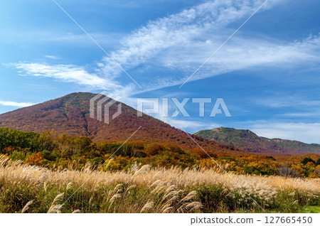 [Mount Hakkoda, Aomori Prefecture] View of autumn leaves on Hakkoda from Tashirodaira in Aomori City 127665450