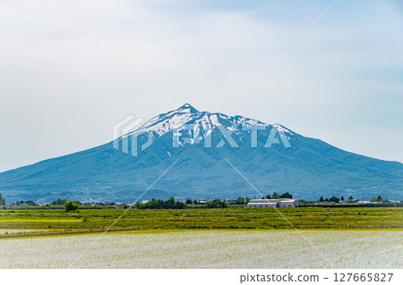 插秧後的稻田與岩木山 插秧後的稻田與岩木山 127665827