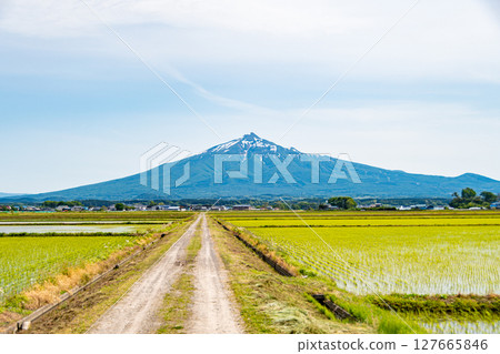 春季農道與岩木山 春季農道與岩木山 127665846