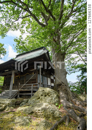 愛宕神社和根基牢固的櫸樹，山形縣的天然紀念物 127666338