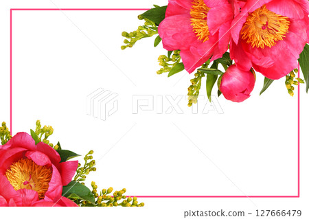 Coral peonies and yellow solidago flowers in a floral arrangement with frame isolated on white Coral peonies and yellow solidago flowers in a floral arrangement with frame isolated on white 127666479
