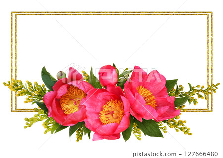 Coral peonies and yellow solidago flowers in a floral arrangement with golden frame isolated on white Coral peonies and yellow solidago flowers in a floral arrangement with golden frame isolated on white 127666480