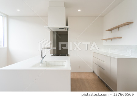 新建住宅的系統廚房和廚房儲藏室 127666569