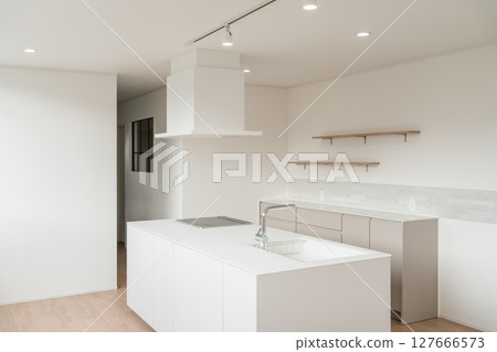 新建住宅的系統廚房和廚房儲藏室 127666573