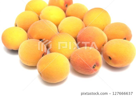 Ripe plum fruit Ripe plum fruit 127666637