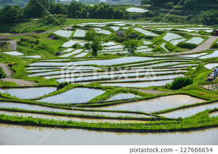 [Scenic spot] Obasute rice terraces [Chikuma city] 127666654