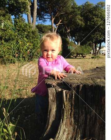 Curious Toddler Exploring the Outdoors by Tree Stump 127666802
