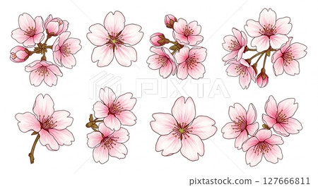 櫻花插畫① 127666811