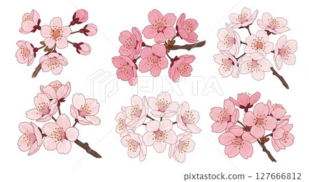 櫻花插畫② 127666812